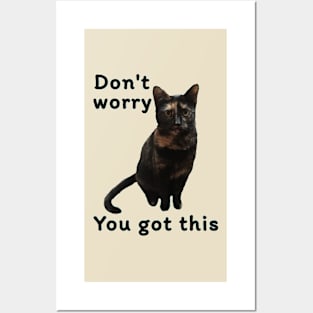 Don’t Worry You Got This (kitty) Posters and Art